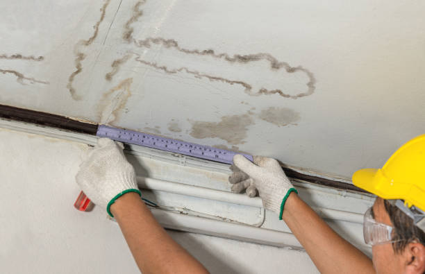 Reliable Sewage Cleanup contractor in Edison, NJ by Water Damage Irwin